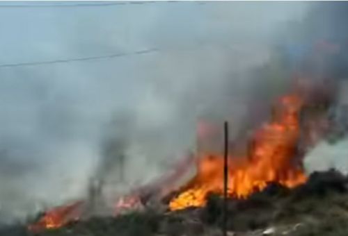 Ανεξέλεγκτη μαίνεται η φωτιά στην Επ. Λεμεσού - Προχώρησε με ανάκληση προσωπικού η Πυροσβεστική - Δείτε βίντεο
